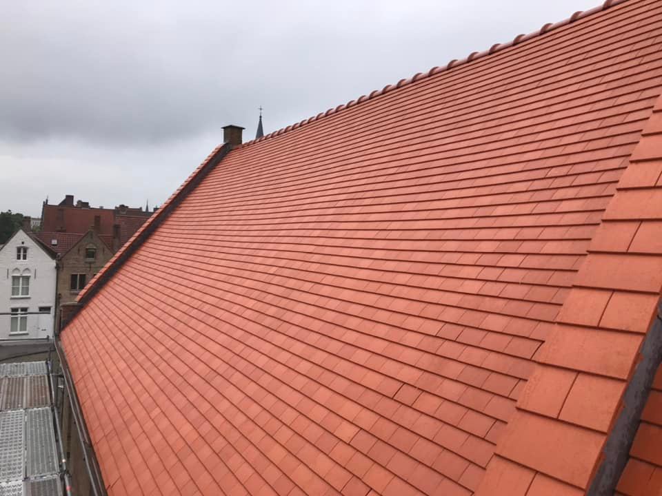 dakpannen rood